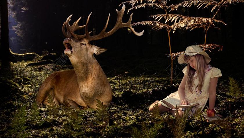 看书的女孩和麋鹿背景图片