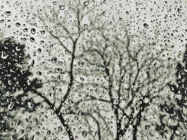 雨 雨滴 一滴水 性质 珠绣 天气 滴 湿 滴雨 窗口窗格