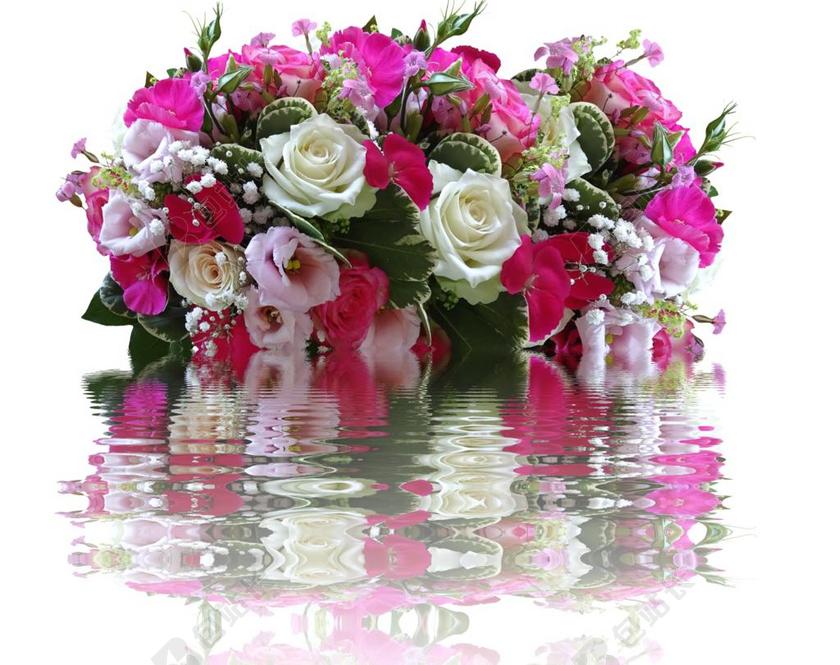 水面的美丽花束背景图片