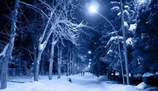 夜 雪 弗罗斯特 冷 树木 寒冷的城市 城市 冻结 俄罗斯