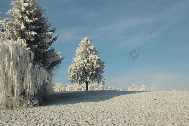 冬天白色的雪原背景图片