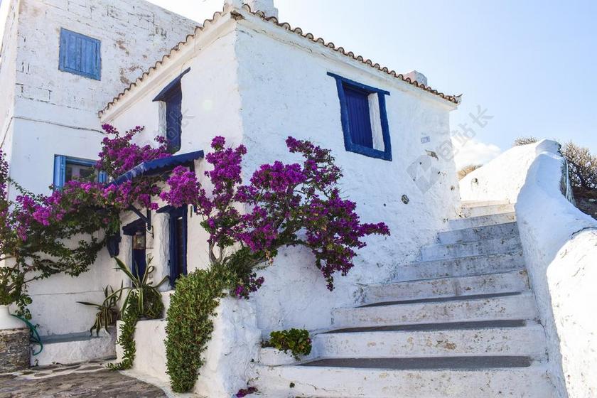 白色的房子和紫色的鲜花背景图片