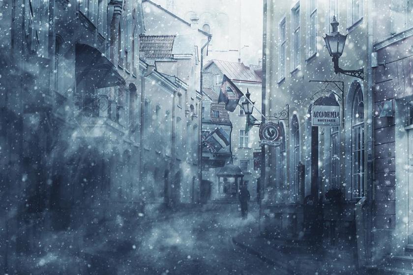 暴雪 雪 暴风雪 季节 冷 降雪 冬天 霜 自然 天气