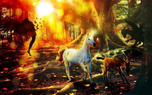 幻想 独角兽 森林 仙女 魔术 神秘 神奇 童话 龙 神话