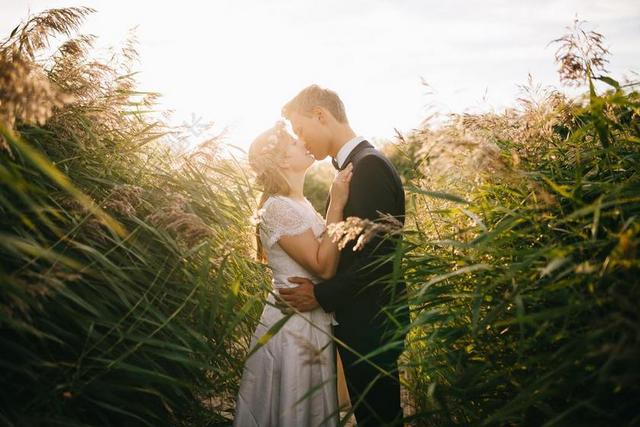 人 女孩 家伙 吻 爱 婚礼 新娘 马夫 绿色 草 阳光