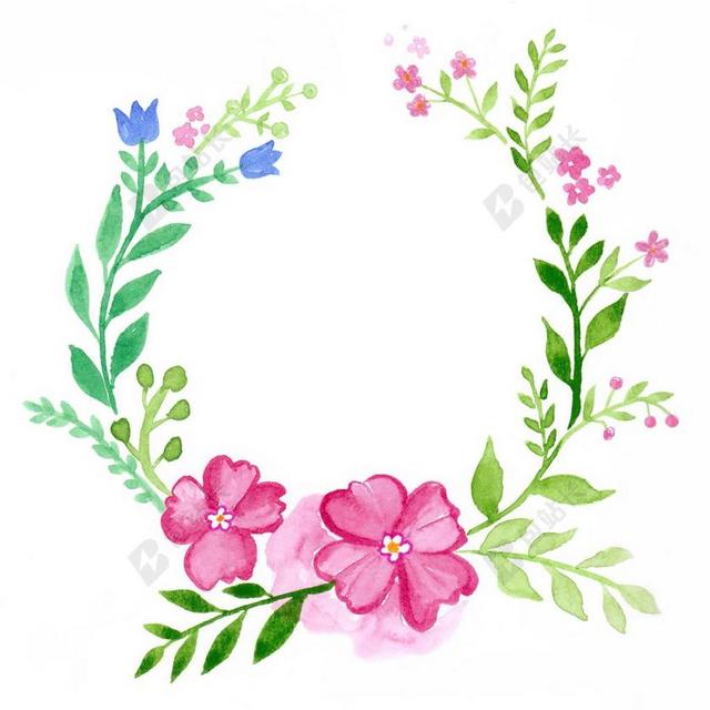 白纸上的鲜花绘画背景图片