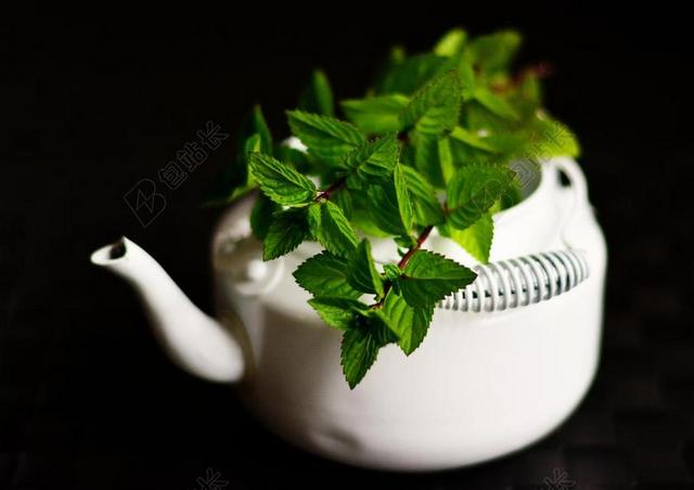 薄荷 药用植物 药材 草药茶 芳香药草 香气 薄荷茶 草药植物