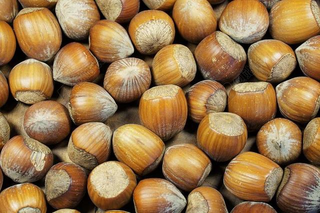 榛子 壳 布朗 坚果 食品 美味 吃 NUTSHELLS
