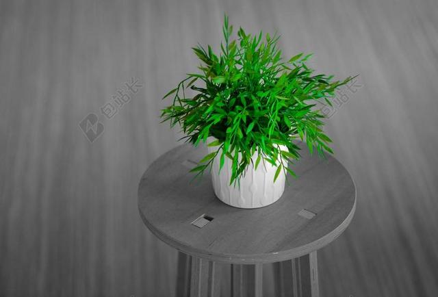 植物 房间 绿色 首页 现代 室内 设计 房子 装潢 生态