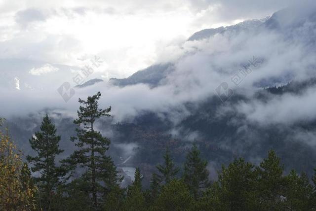 云 松树 景观 树 自然 户外 小山 山 松 天空 森林