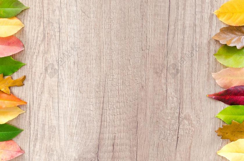 秋 橙色 自然 红色 黄色 秋天 枫 颜色 光明 季节