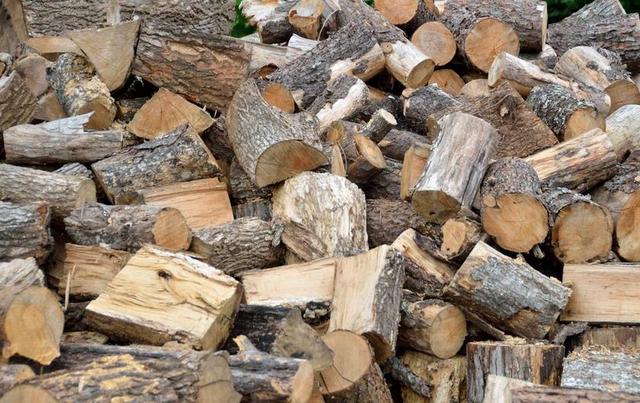 柴 树日志 资源 WOODPILE 日志 堆栈 木材 自然