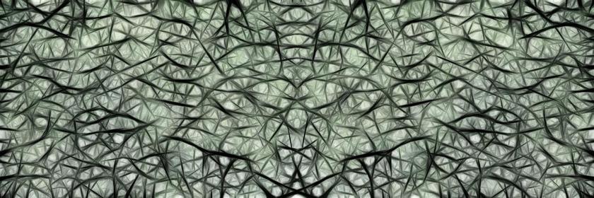 神经元 脑细胞 大脑结构 脑 网络 荆 纱 组织 丝网厂