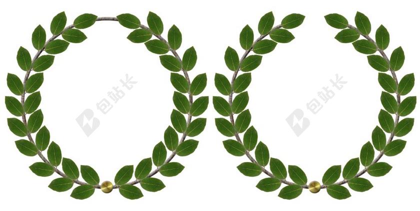 月桂花环 周年 桂冠 奖 叶子 赢家 孤立