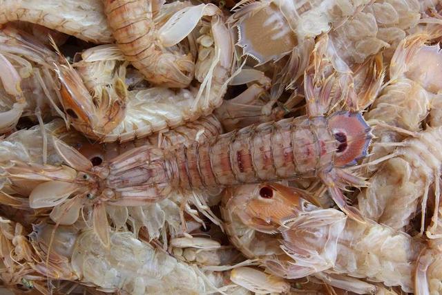 海鲜 捕捉 钓鱼 海 食品 市场 新鲜 渔业