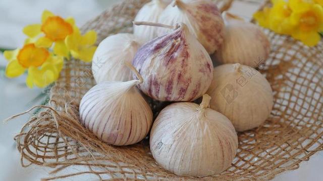 大蒜 中国大蒜 厨房 厨师 香料 季节 南斯拉夫联盟共和国