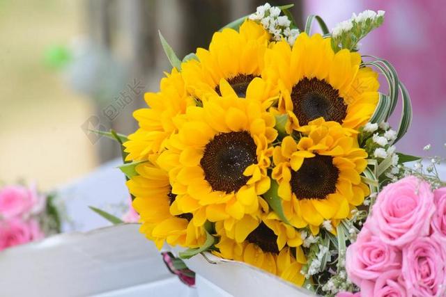 婚礼鲜花 向日葵 花 金 花卉 美丽的花朵 太阳 美丽的照片