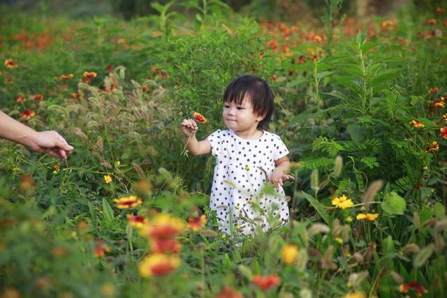 孩子 花 夏天 可爱 女孩 郊游 绿色 开心 母女 花丛