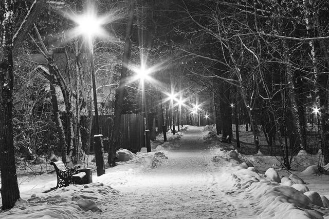 冬季 街 夜 ONARI 黑色和白色的 雪 户外 冷 树木