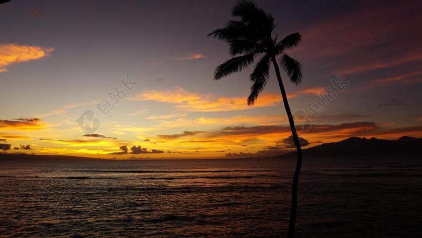 自然风景日落黄昏夏威夷海边棕榈背景图片