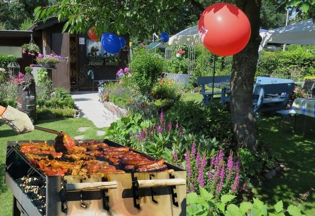 情感 SOMMERFEST 烧烤聚会 烧烤 肉