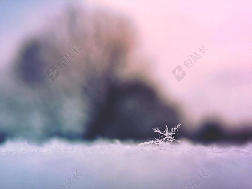 白色自然景观唯美冬天雪花飘落特写背景图片