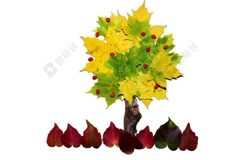 树 拼贴画 模式 艺术 丰富多彩 秋季 叶子 秋天的颜色