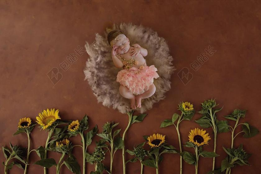 新生 扶植 摄影 婴儿 肖像 可爱 甜 年轻 向日葵的道具