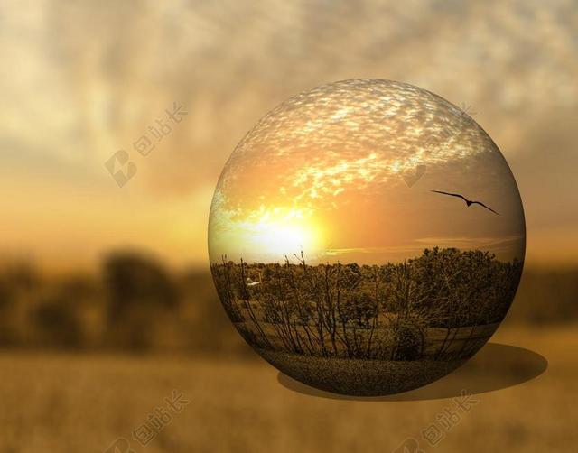 风景 3D 树 艺术 艺术的印刷 数字艺术 多彩 景区 景观