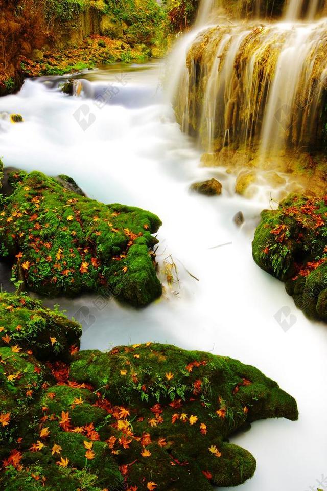 瀑布 水 白 植物 性质 景观 森林 树 河 和平 背景