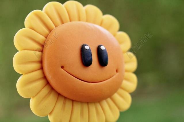 滑稽 乐趣 好心情 太阳花 花 太阳 面对 头