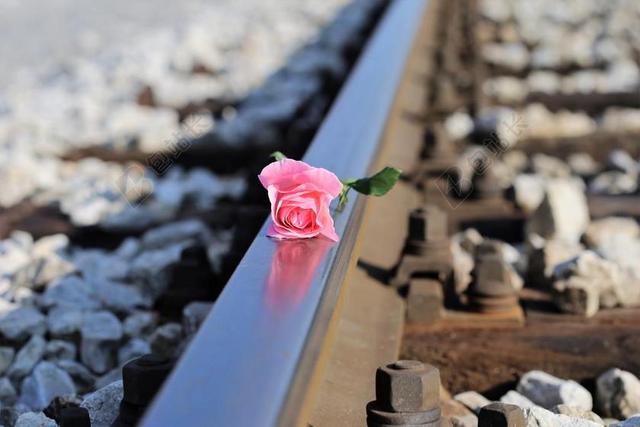 阻止儿童自杀 停止青少年自杀的 粉红色的玫瑰上的火车 停止学生自杀