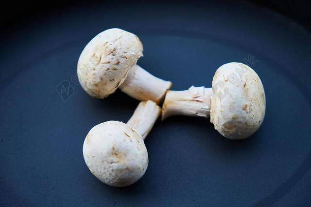 蘑菇 白 蔬菜 健康 毒 食品 营养 健康饮食 素食主义者
