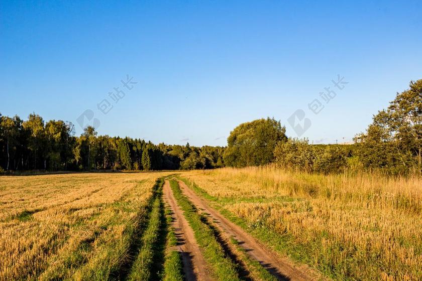 路 农村 村 景观 夏季 俄罗斯 天空 字段 草 农业