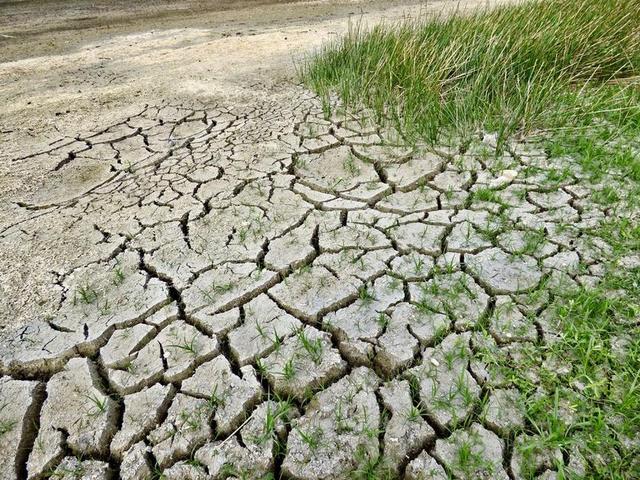 气候变化 干旱 气候 干 环境 自然 气候变暖 沙漠 灾难