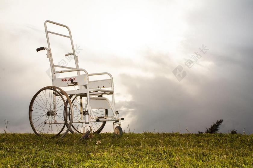 残疾人 椅子 恩格尔 小说 草 意见 主意 生活 设计 脚