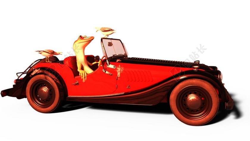 动物 壁虎 海鸥 海鸥的狗屎 狗屎 汽车 搞笑 滑稽 堵嘴