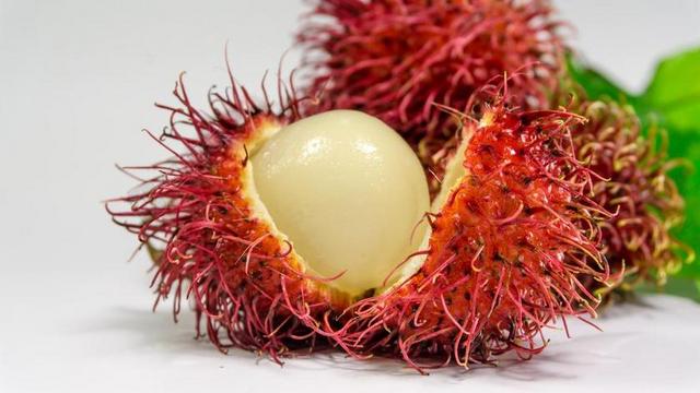 红毛丹 水果 背景 新鲜 白 红色 食品 甜 热带 美味