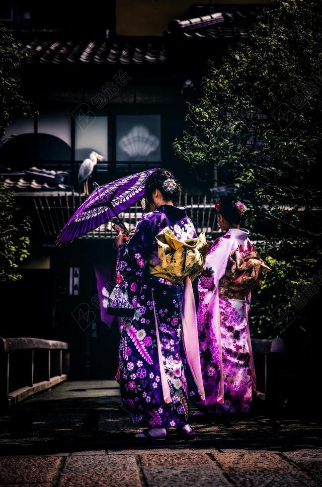 京都 日本 和服 艺妓女孩 梧桐 人类发展报告 多彩 美丽