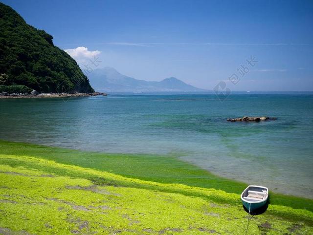 熊本 海岸 自然 日本 九州 性质 天草
