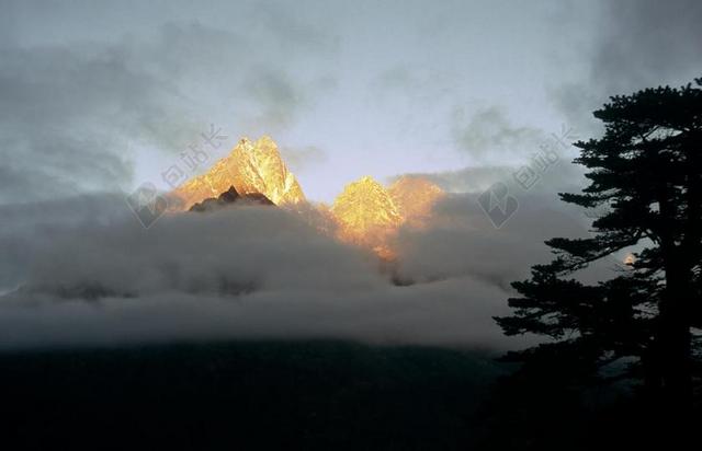 山迷航景区日出松树景观背景图片