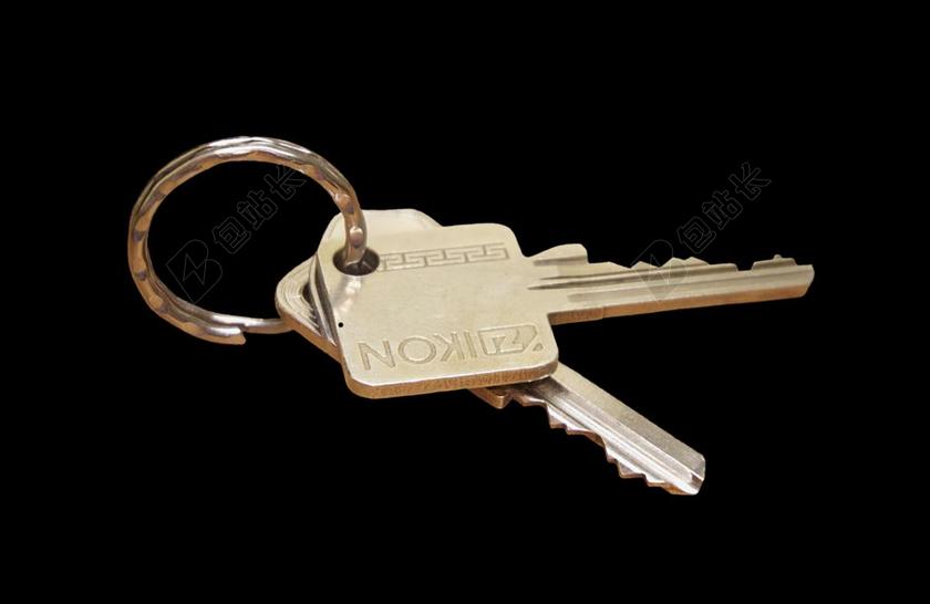 关键 钥匙扣 家的钥匙 门钥匙 钥匙 金属 关闭 刀片式服务器
