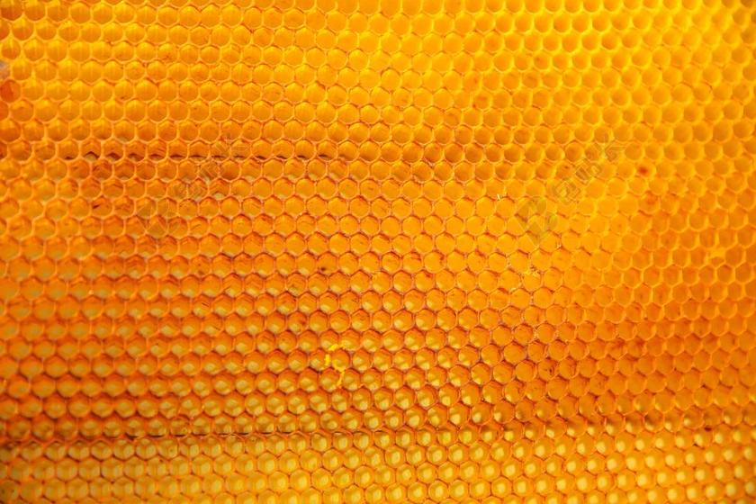 黄色自然蜜蜂蜂蜜甘甜背景图片