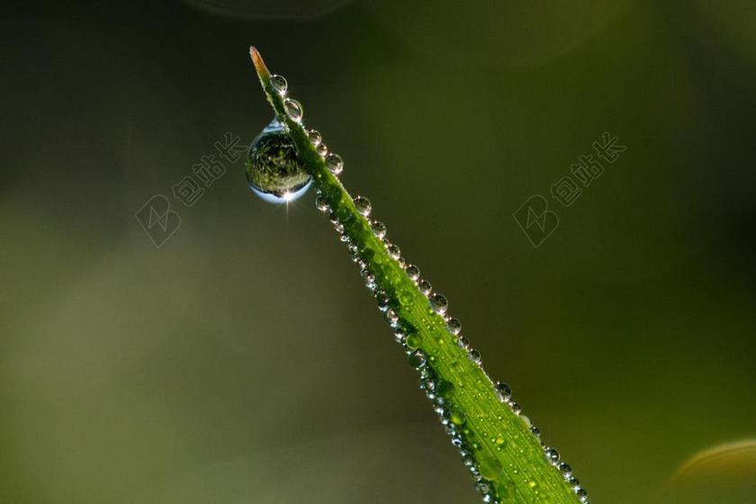 太阳 滴 水 一滴水 性质 露水 湿 露珠 厂 关闭 宏