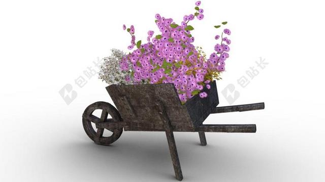 鲜花 购物车 推手推车 独轮车 德卡 装饰 怀旧 厂 孤立