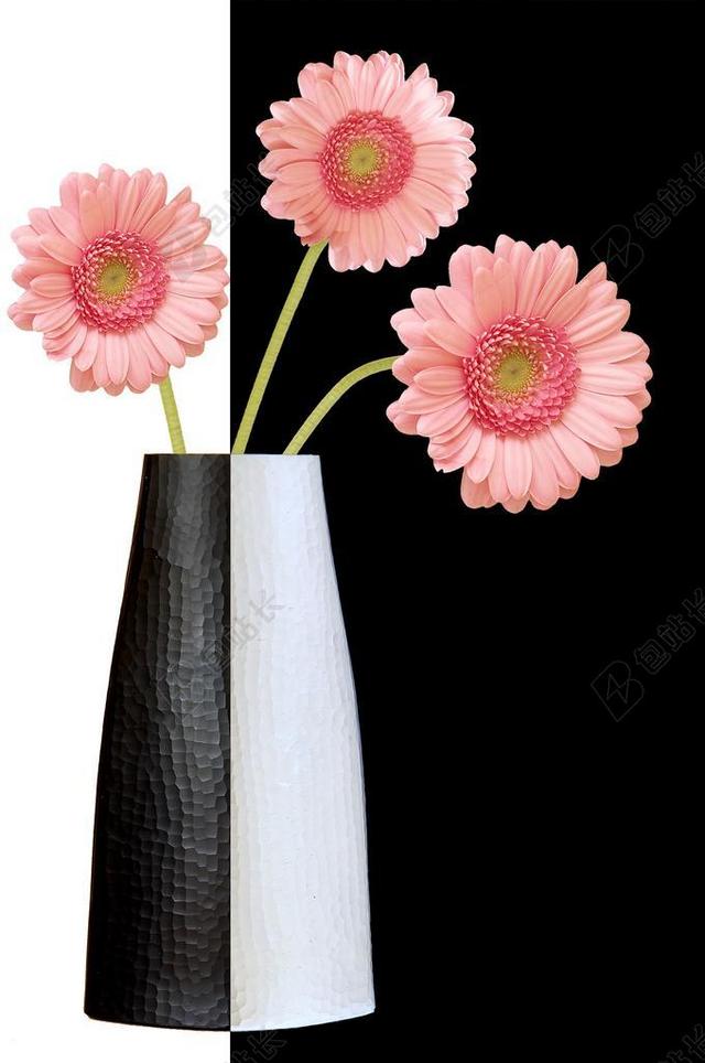 花瓶 鲜花 装饰 粉红色的花 颜色