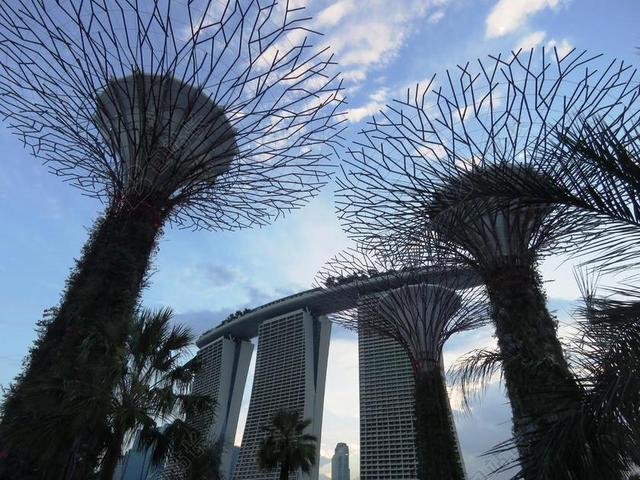 滨海湾 花园的海湾 新加坡 建设 花园 旅游的地方