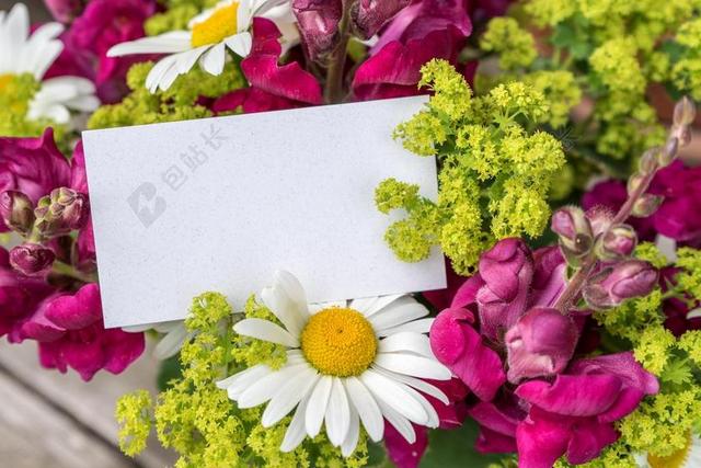 问候语 贺卡 愿望 问候 明信片 地图 迎接 鲜花