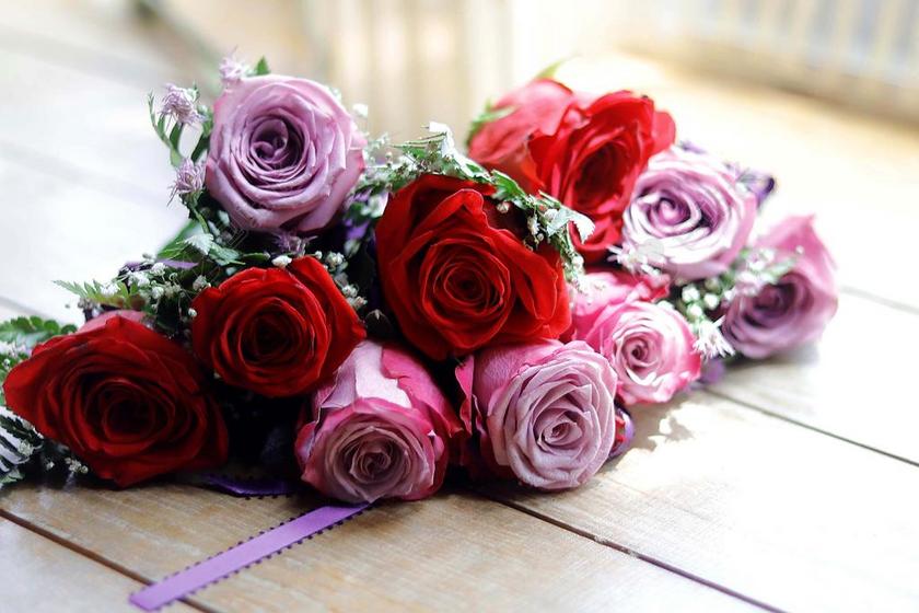 婚礼玫瑰红色粉红色爱背景图片