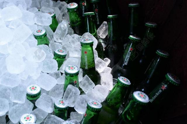 瓶 啤酒 冰的多维数据集 啤酒瓶 酒精 喝 饮料 冷 液体